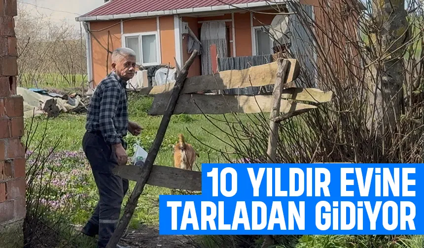 Ev var yol yok: 10 yıldır tarladan yürüyor