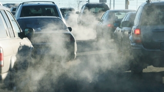 AP, dizel ve benzinli araç satışı yasağını onayladı