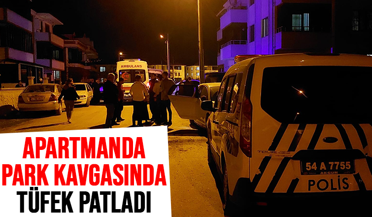 Apartmanda park kavgası ortalığı karıştırdı