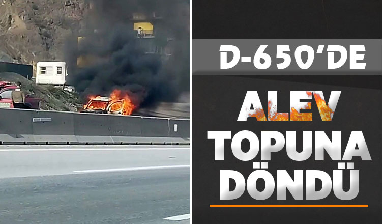 Araç alevlere teslim oldu