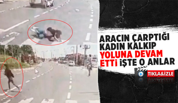 Araç çarptı, yerden kalkıp yoluna devam etti