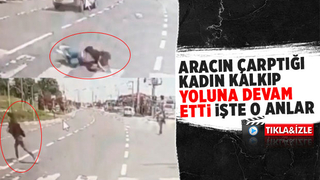 Araç çarptı, yerden kalkıp yoluna devam etti