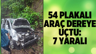 Araç dereye uçtu: 7 yaralı