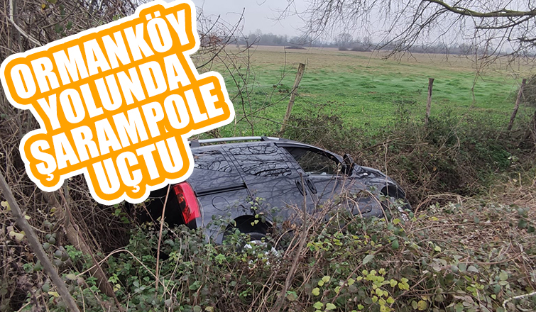 Araç şarampole uçtu