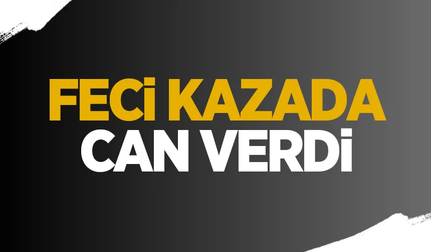 Aracın çarptığı kadın öldü