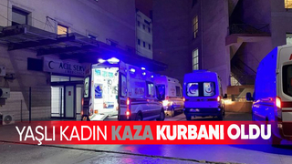 Aracın çarptığı yaşlı kadın hayatını kaybetti