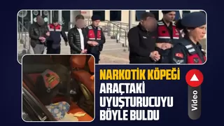 Araçta zulalanan uyuşturucuyu narkotik köpeği buldu