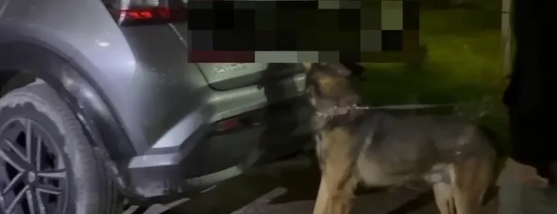 Araçtan on binlerce sentetik hap çıktı