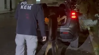 Araçtan on binlerce sentetik hap çıktı