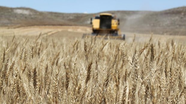 Aralıksız 8 aydır yükselen gıda fiyatları 6 yılın zirvesinde