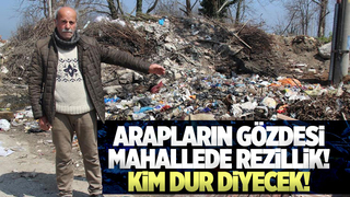 Arapların gözdesi doğayı çöplüğe çevirdiler