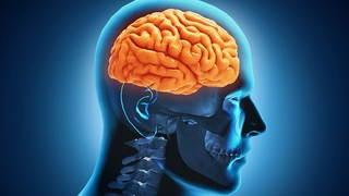 Araştırmacılar, felci uzak tutacak önerileri sıraladı