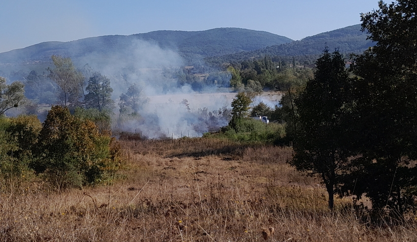 Arazi yangınında 40 dönüm alan yandı!  