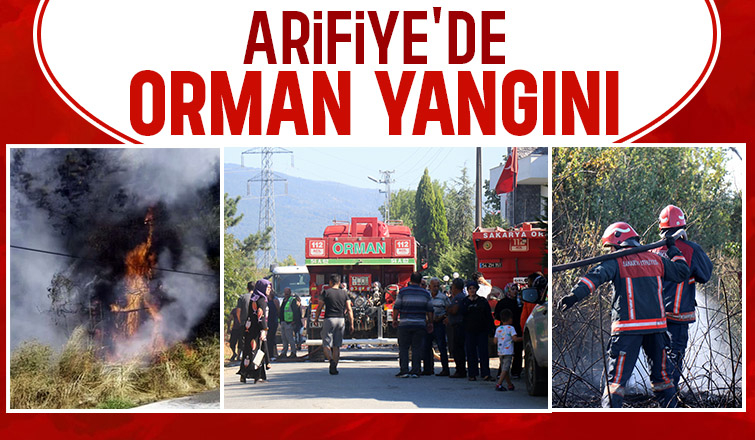 Arifiye'de çıkan orman yangını mahalleyi sokağa döktü