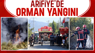 Arifiye'de çıkan orman yangını mahalleyi sokağa döktü