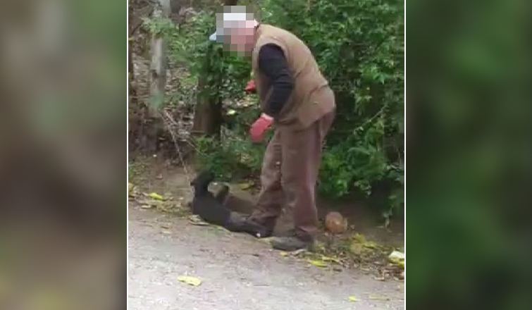 Arifiye'de skandal görüntüler