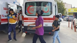 Arılar kovana sopayla vuran öğrencilere saldırı; Okul tatil edildi