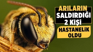 Arıların soktuğu 2 kişi hastaneye kaldırıldı