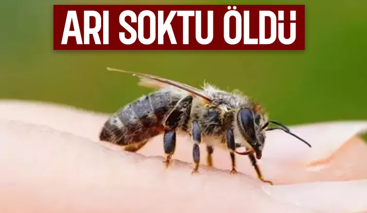 Arının soktuğu genç öldü