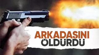 Arkadaş cinayeti