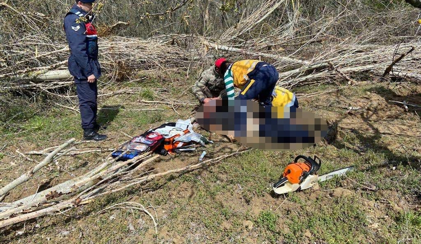 Arkadaşının kestiği ağacın altında can verdi