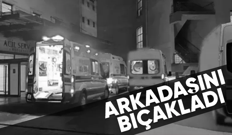Arkadaşların kavgası kanlı bitti