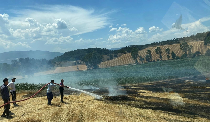 Arpa tarlası alev alev yandı