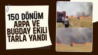 Arpa ve buğday tarlası yandı