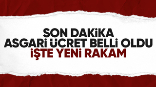 Asgari ücret açıklandı