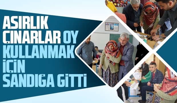 Asırlık Çınarlar oy kullanmak için sandığa gitti
