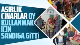 Asırlık Çınarlar oy kullanmak için sandığa gitti