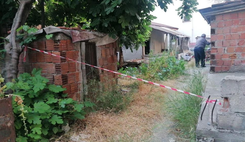 Asma yaprağı toplarken canından oldu