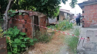 Asma yaprağı toplarken canından oldu