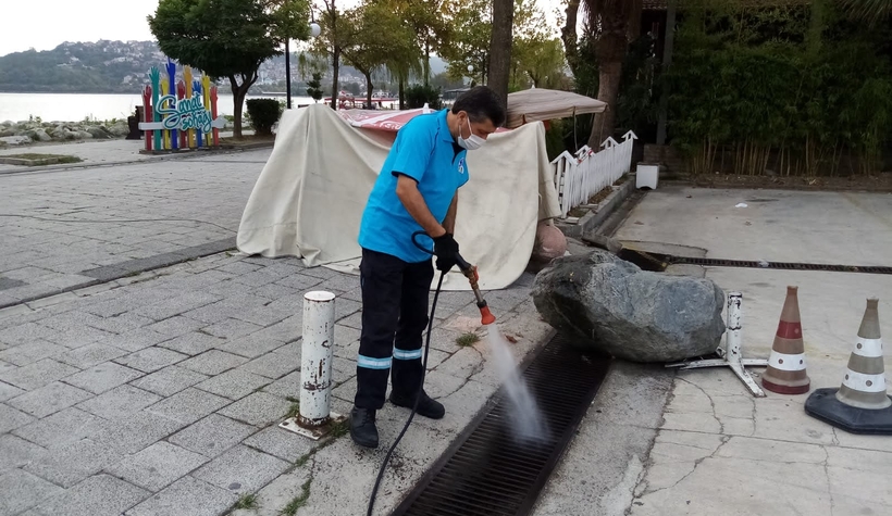 Asya Kaplanı ile mücadele başladı