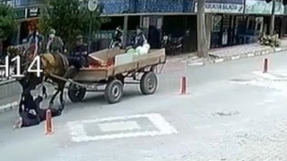 At arabası yaşlı adamı ezdi