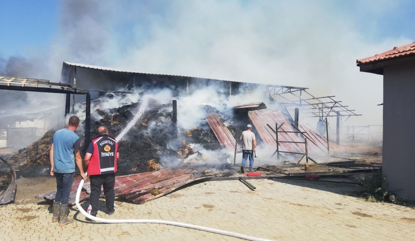 At çiftliğinde yangın