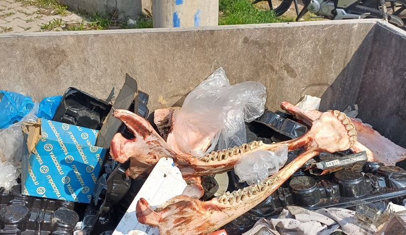 At kesen şahıs yakalandı