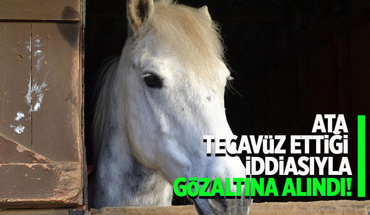 Ata tecavüzden gözaltına alındı