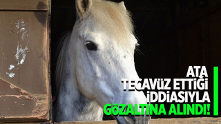 Ata tecavüzden gözaltına alındı