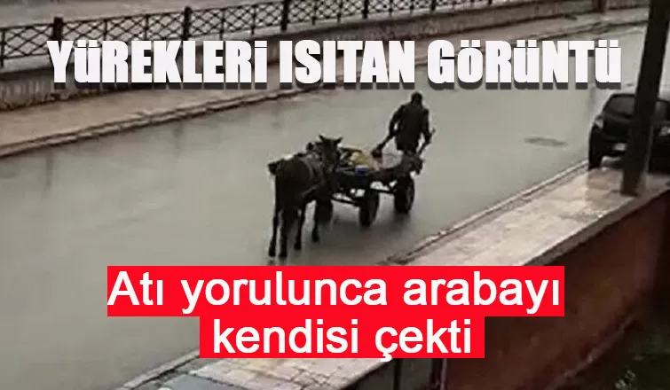 Atı yorulunca arabayı kendisi çekti