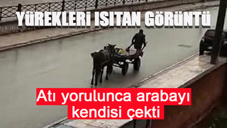 Atı yorulunca arabayı kendisi çekti