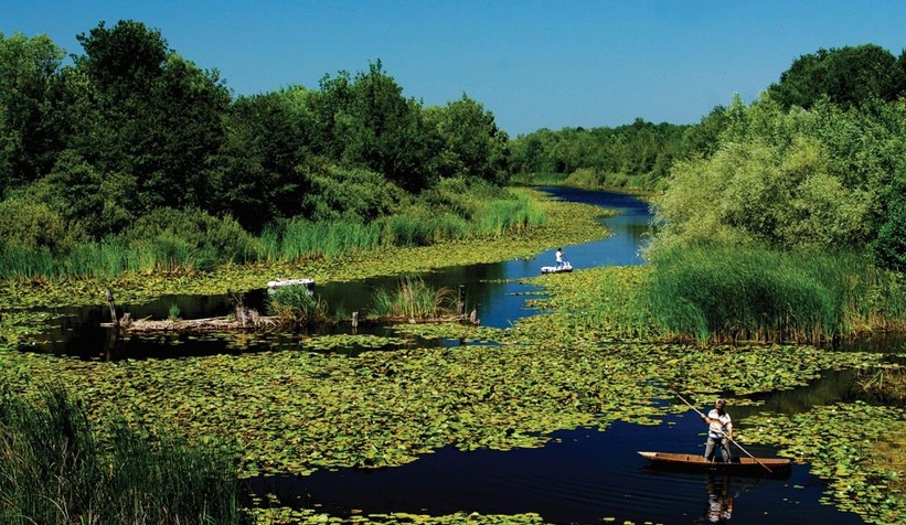 Atıksu arıtma tesisi longozu koruma altına alacak