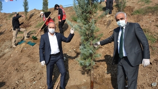 Atış Poligonuna fidanlar dikildi