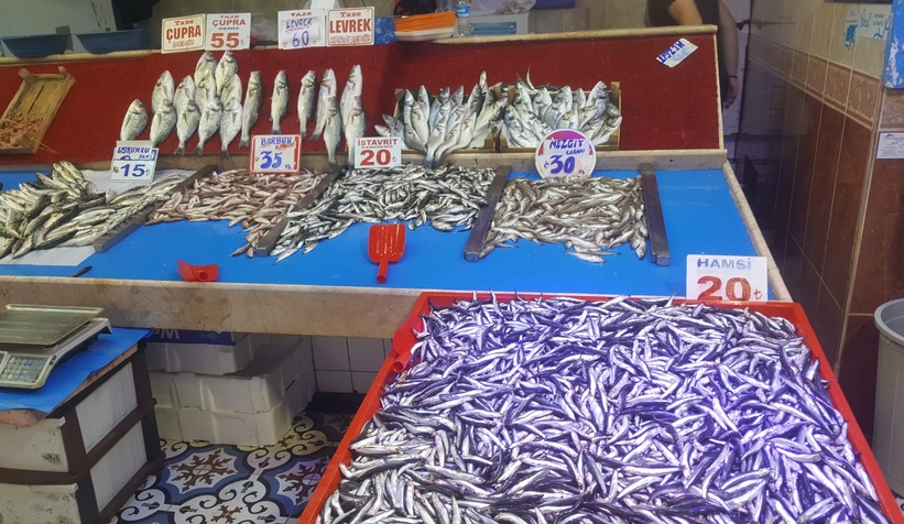 Av mevsiminin ilk haftasında hamsi bereketi