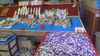 Av mevsiminin ilk haftasında hamsi bereketi