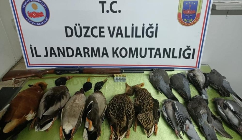 Avcılık adı altında katliam