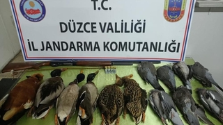 Avcılık adı altında katliam