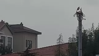AVM yakınında korku dolu anlar