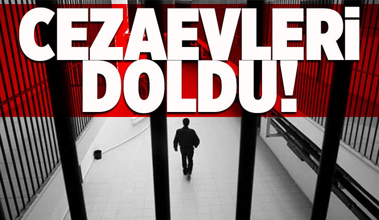 Avrupa'nın en dolu cezaevleri Rusya ve Türkiye'de