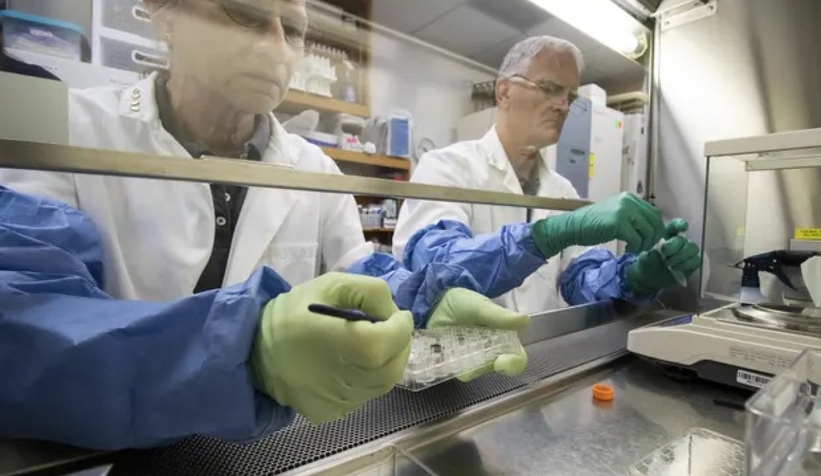 Ay toprağında filizlenen bitkilerden kötü haber geldi